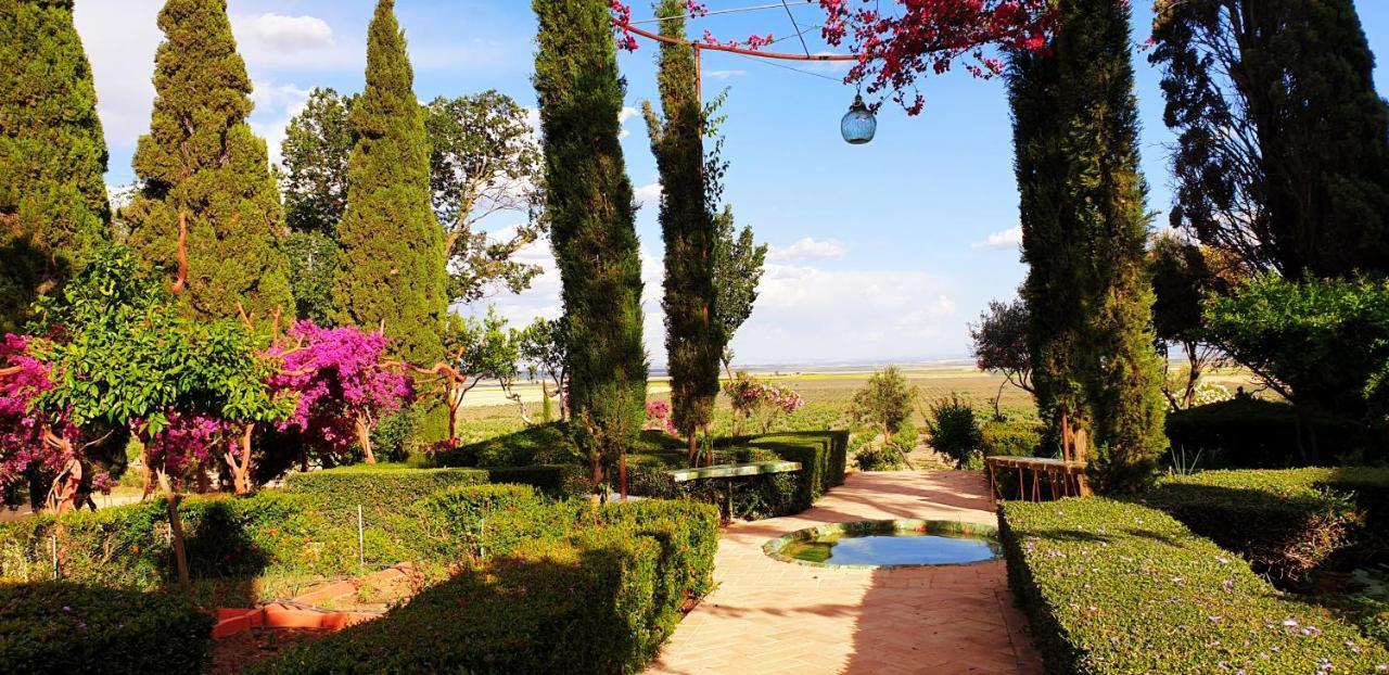 Вилла Cortijo El Triguero N-398 Ctra Carmona - El Viso Del Alcor Km 18 Экстерьер фото