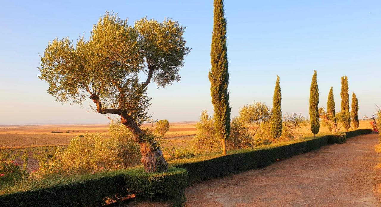 Вилла Cortijo El Triguero N-398 Ctra Carmona - El Viso Del Alcor Km 18 Экстерьер фото