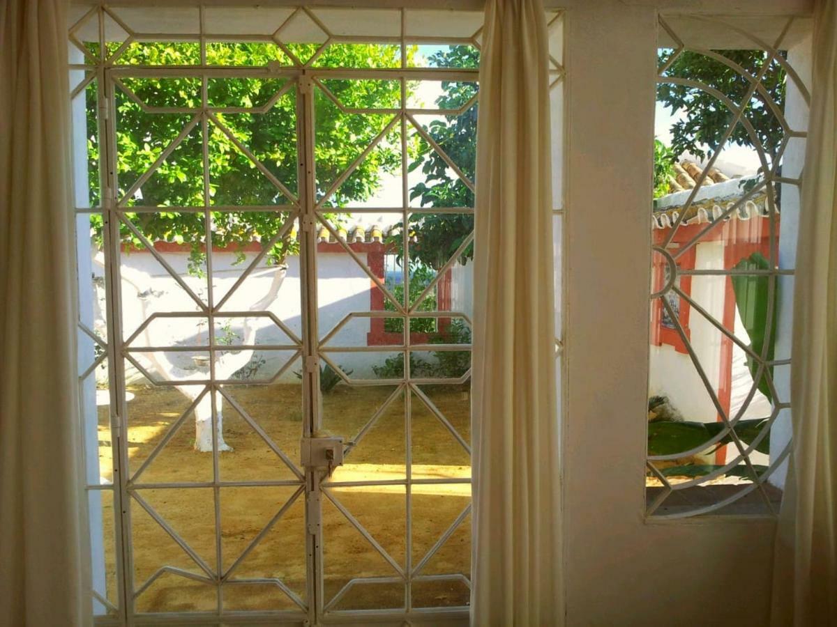Вилла Cortijo El Triguero N-398 Ctra Carmona - El Viso Del Alcor Km 18 Экстерьер фото